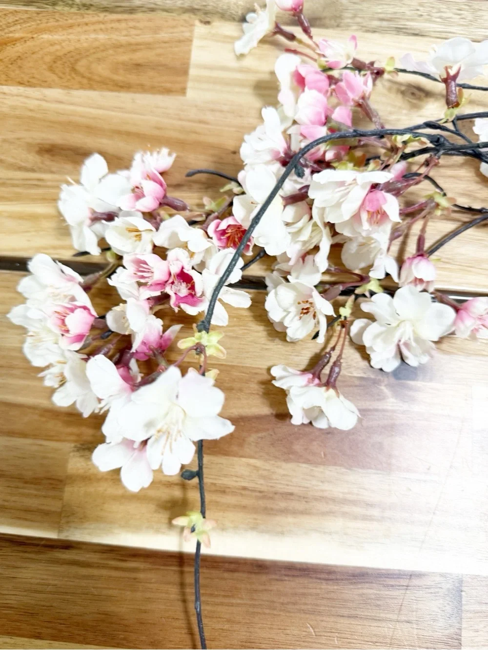 Anthropologie terrain cherry